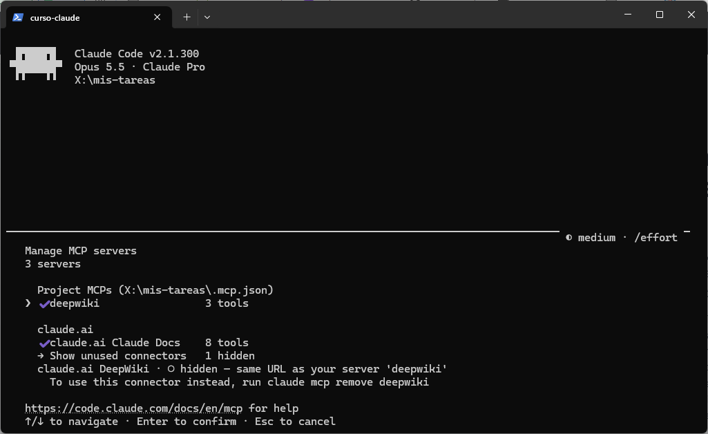 Pantalla /mcp con el servidor deepwiki del proyecto con 3 herramientas y los conectores de claude.ai